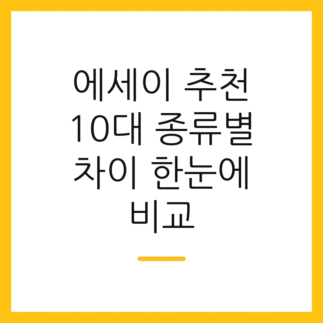 에세이 추천 10대 종류별 차이 한눈에 비교